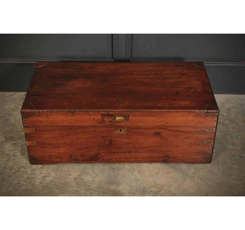Camphor Wood Military Campaign Style Trunk