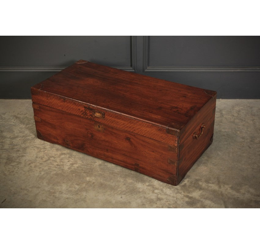 Camphor Wood Military Campaign Style Trunk