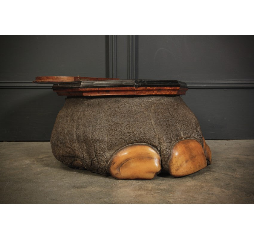 Ceylonese Satinwood & Ebony Mounted Elephant Foot Box