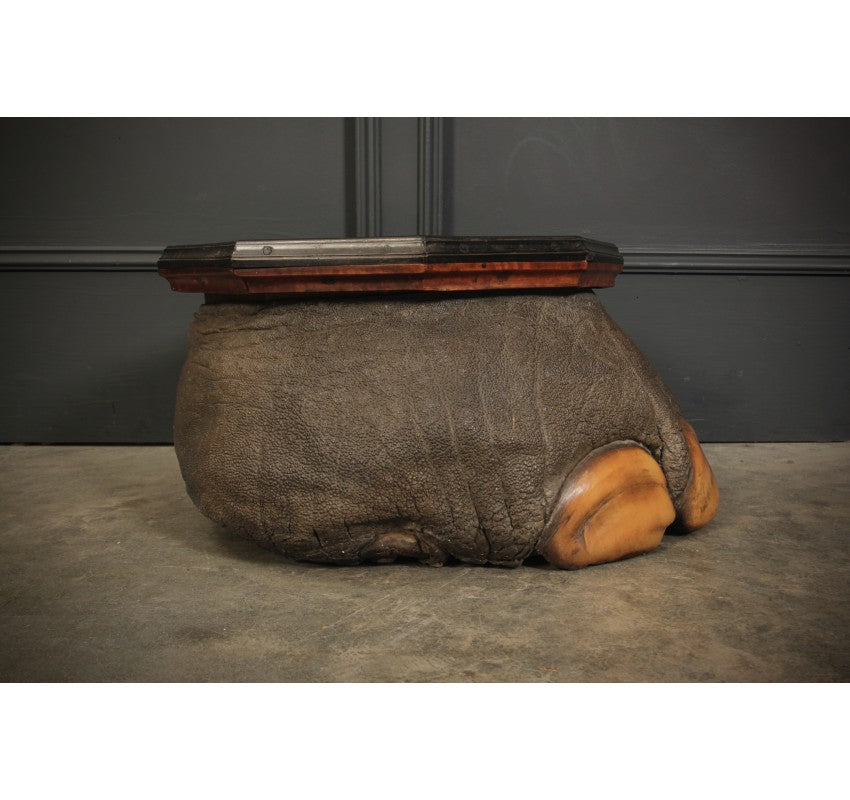 Ceylonese Satinwood & Ebony Mounted Elephant Foot Box