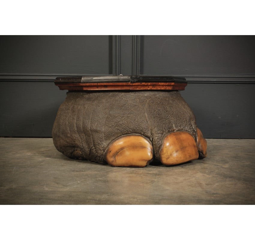 Ceylonese Satinwood & Ebony Mounted Elephant Foot Box