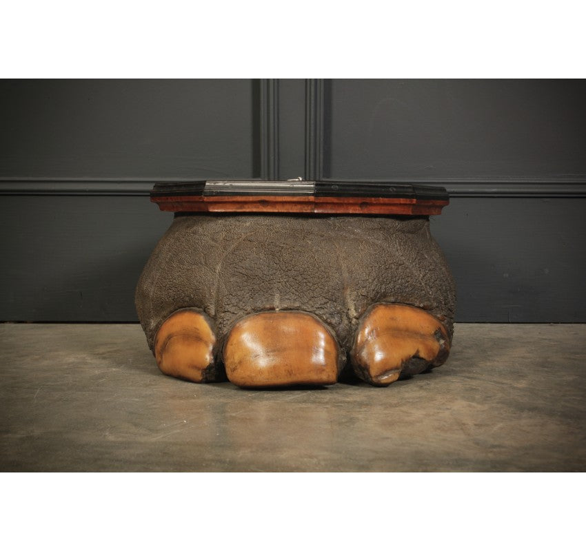 Ceylonese Satinwood & Ebony Mounted Elephant Foot Box