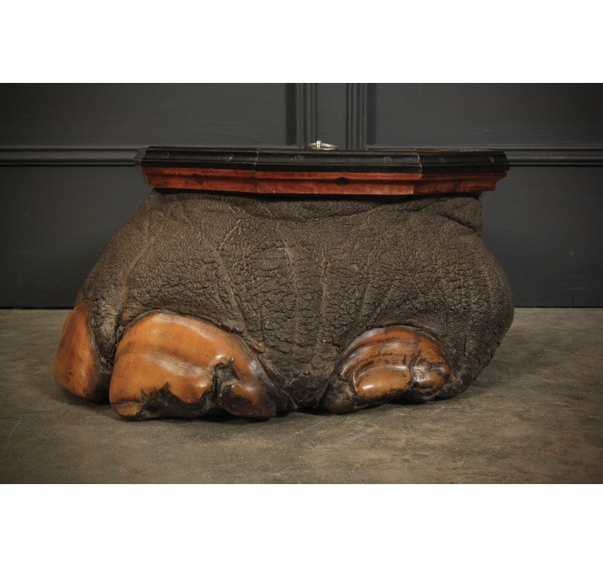 Ceylonese Satinwood & Ebony Mounted Elephant Foot Box