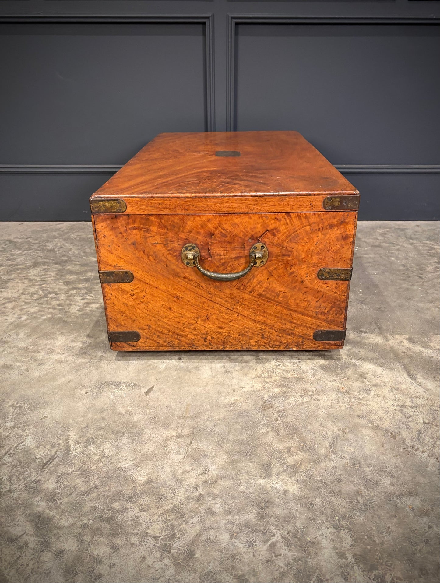 19th Century Camphor Wood Trunk