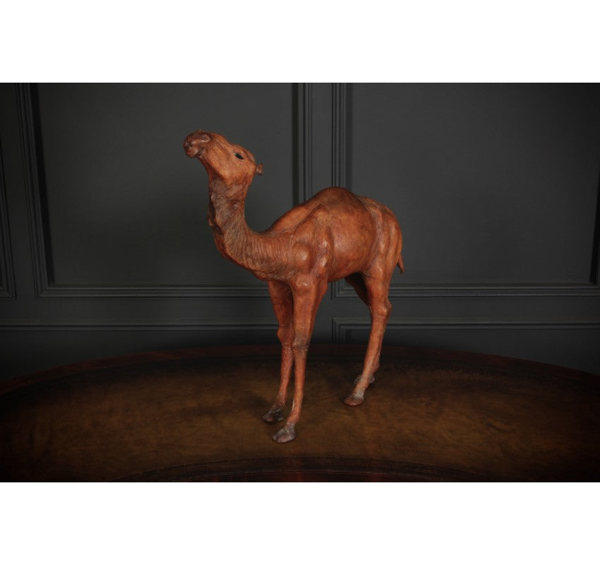 Leather Camel