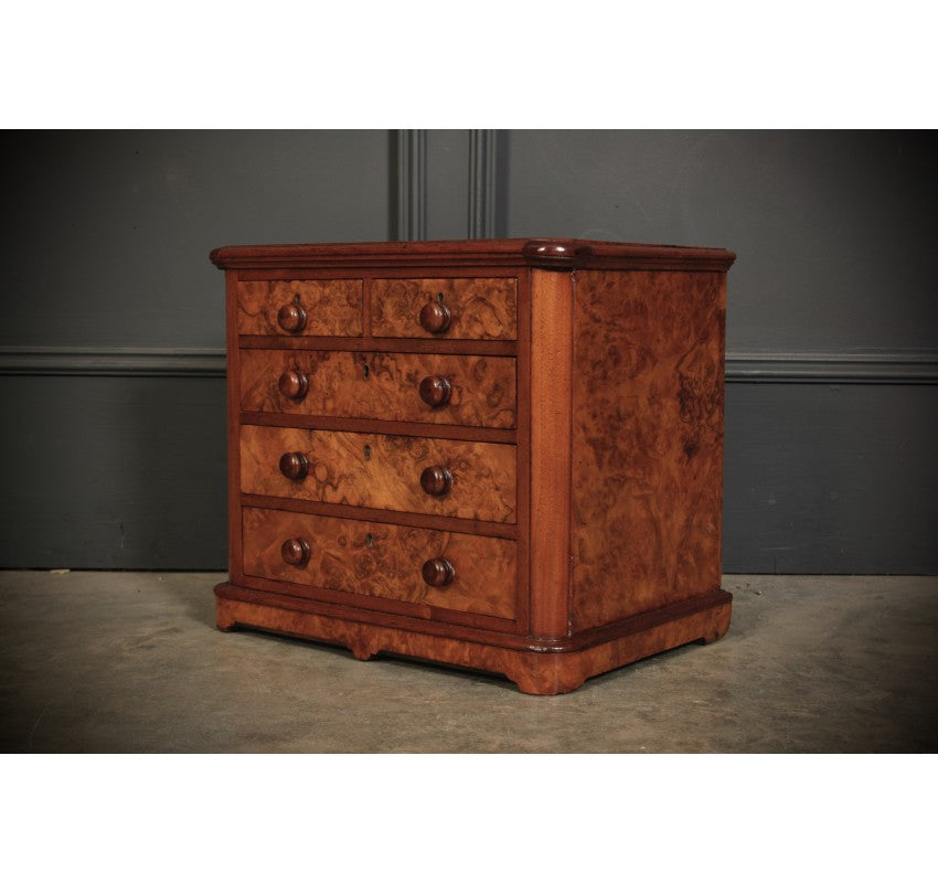 Miniature Burr Walnut Apprentice Chest of Drawers