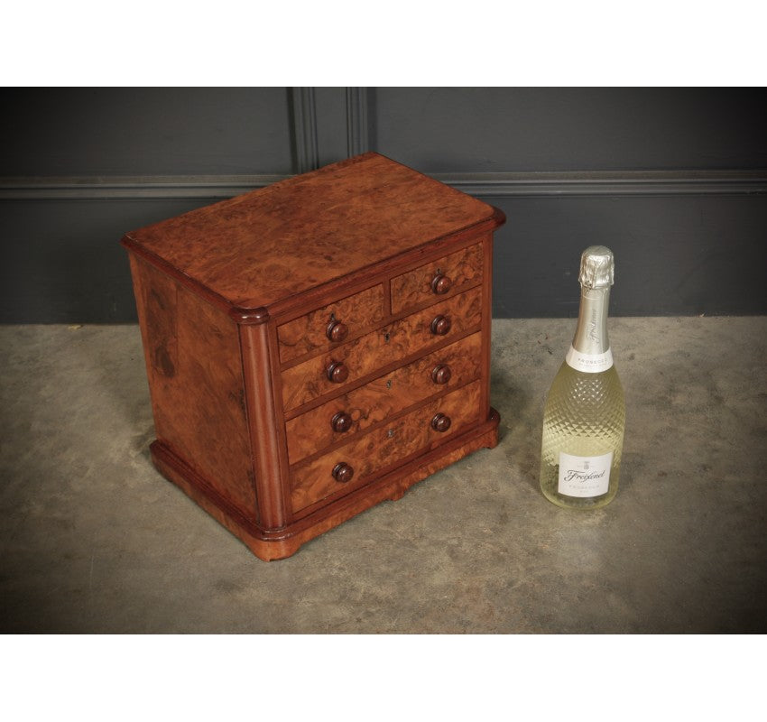 Miniature Burr Walnut Apprentice Chest of Drawers