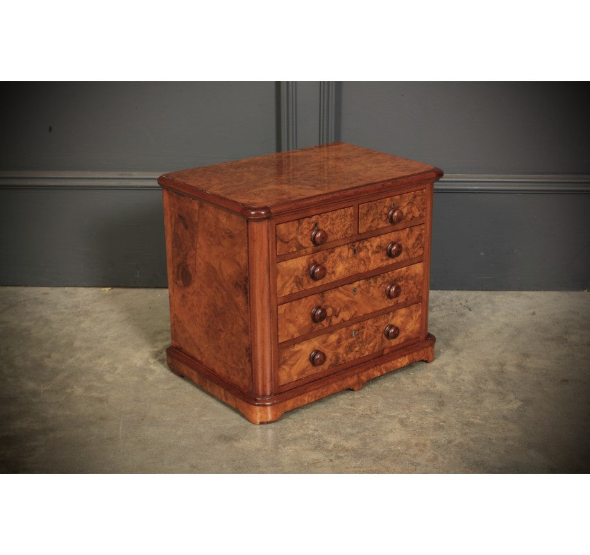 Miniature Burr Walnut Apprentice Chest of Drawers