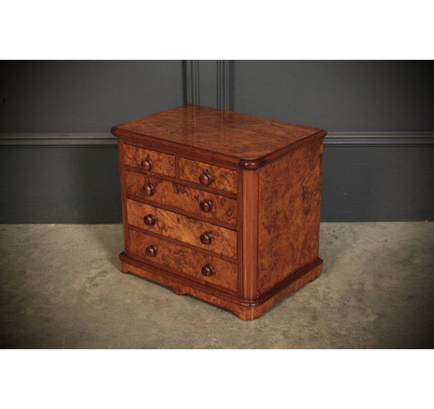 Miniature Burr Walnut Apprentice Chest of Drawers