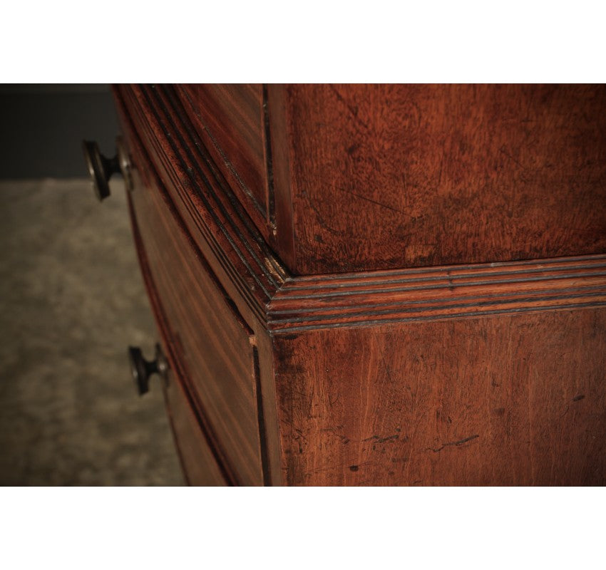 Rare Regency Bow Front Tallboy Chest on Chest