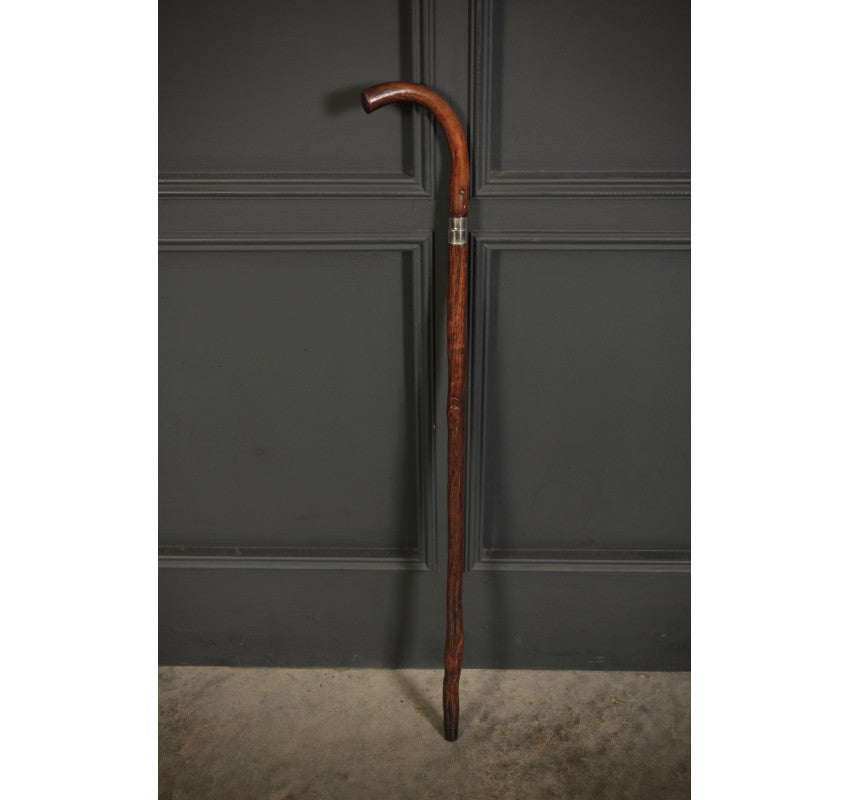 19th Century Gentlemans Walking Stick / Sword Stick