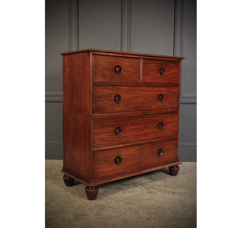 Anglo Indian Padauk Wood Military Chest