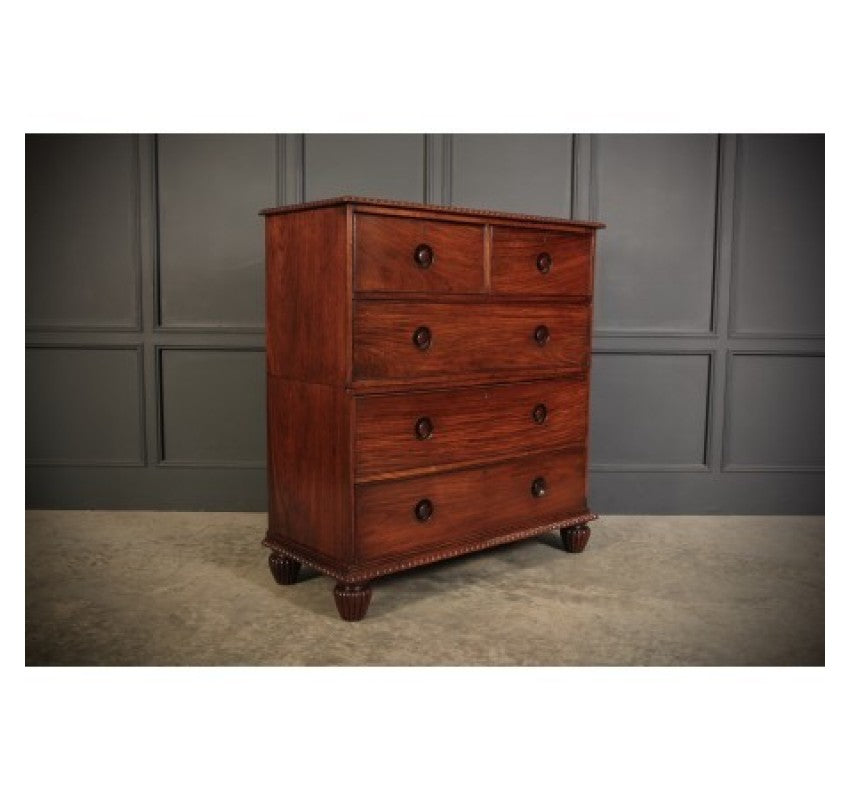 Anglo Indian Padauk Wood Military Chest