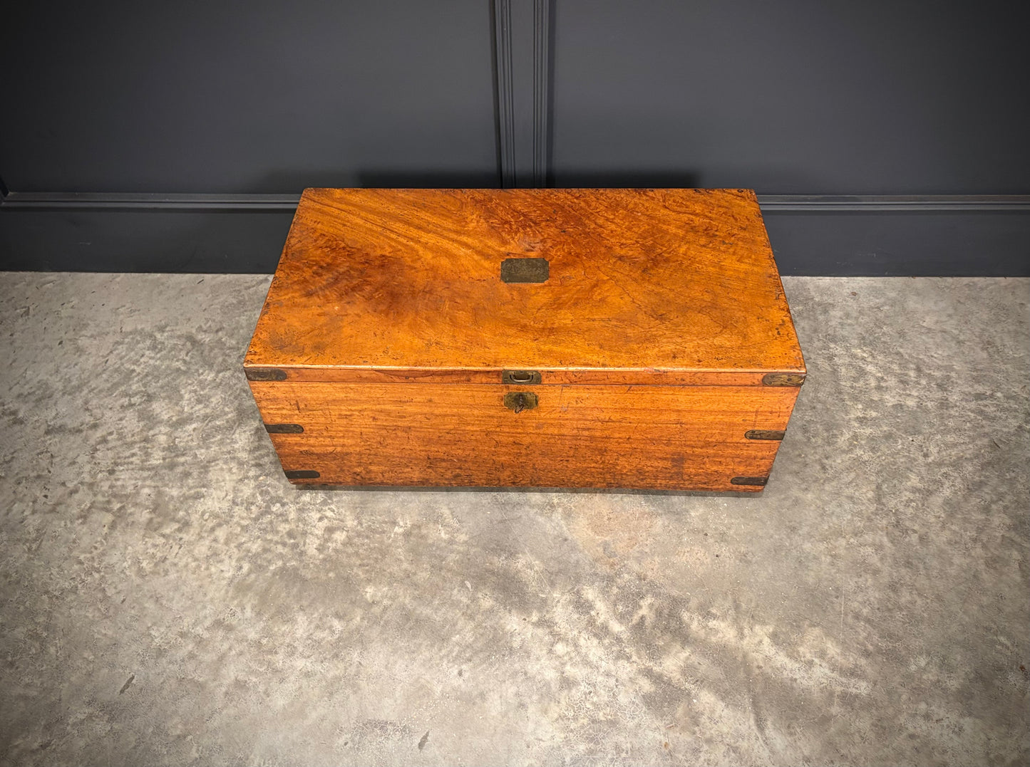 19th Century Camphor Wood Trunk