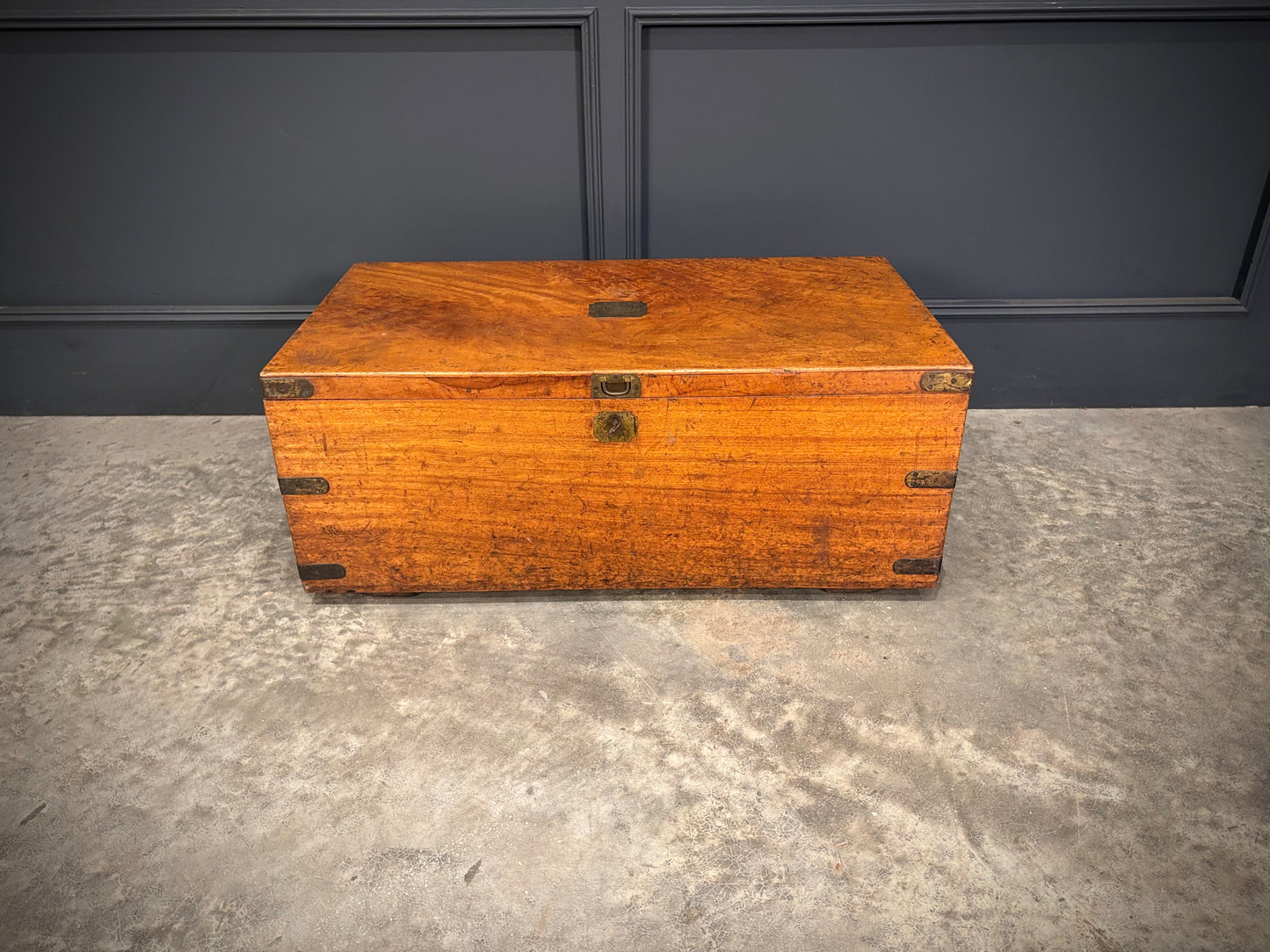 19th Century Camphor Wood Trunk