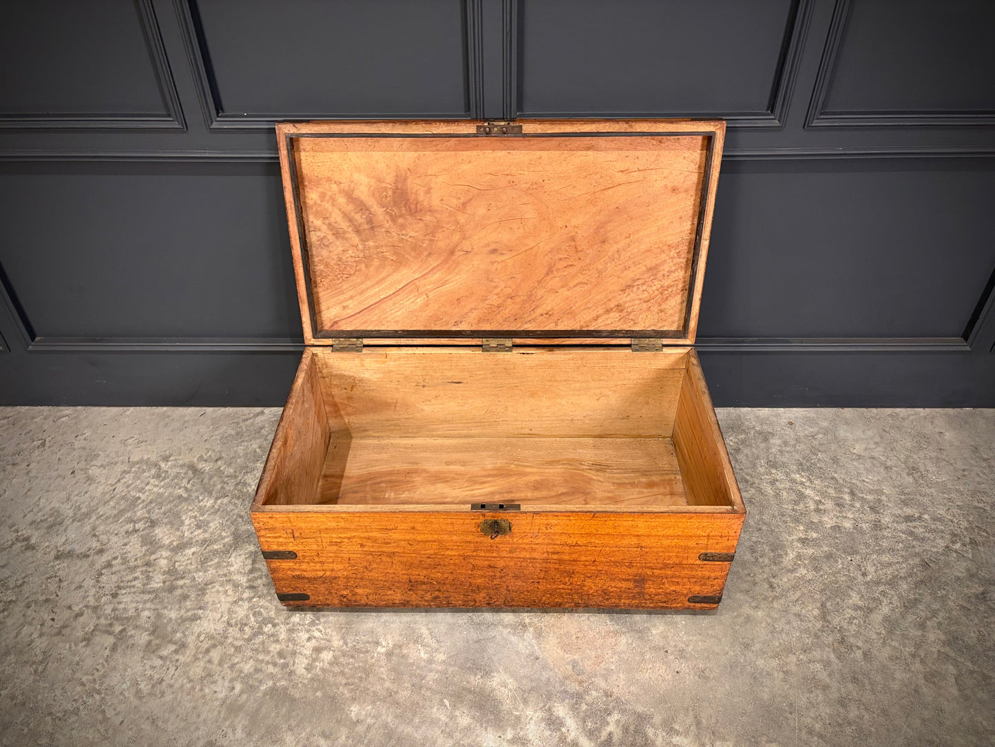 19th Century Camphor Wood Trunk