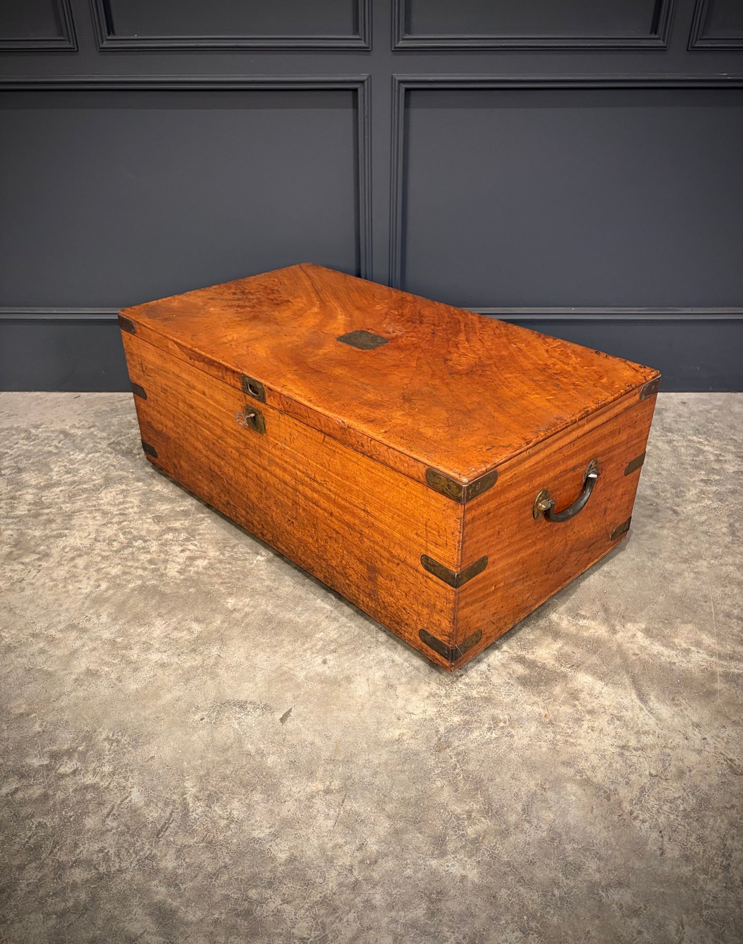 19th Century Camphor Wood Trunk