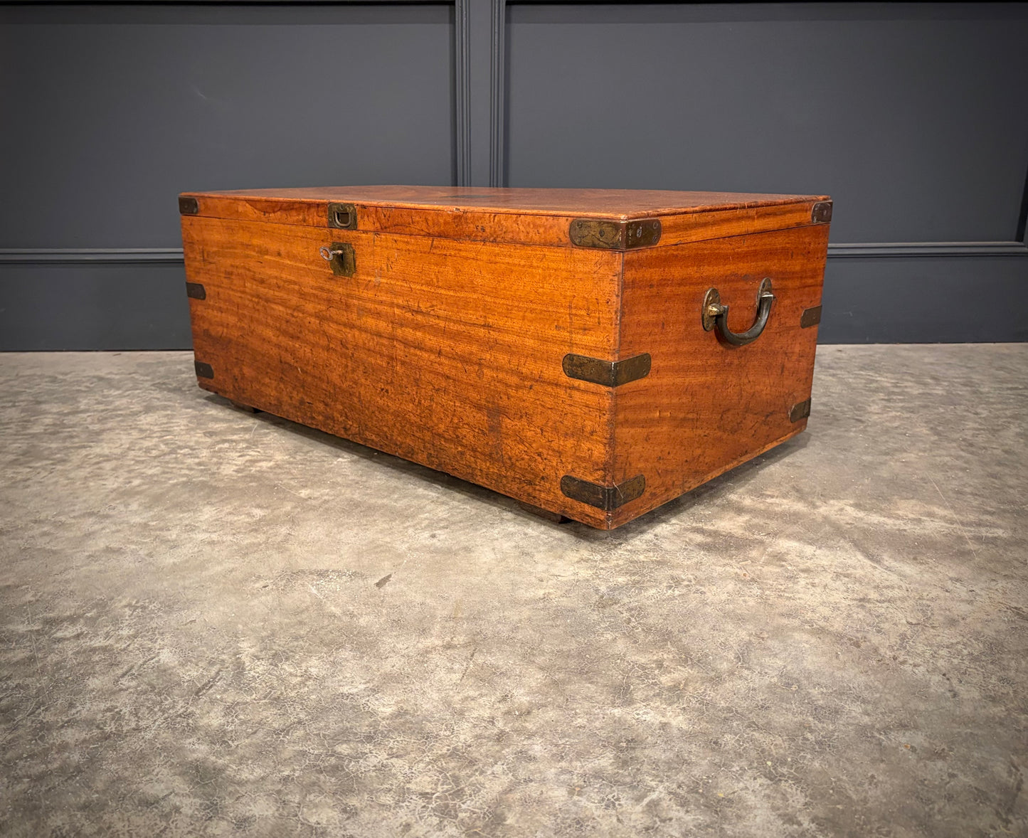 19th Century Camphor Wood Trunk