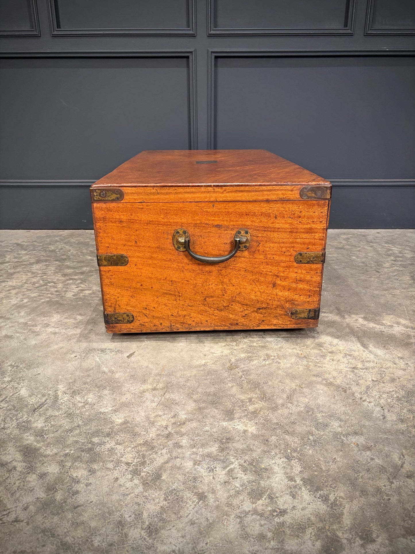 19th Century Camphor Wood Trunk