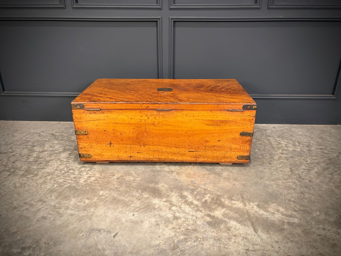 19th Century Camphor Wood Trunk