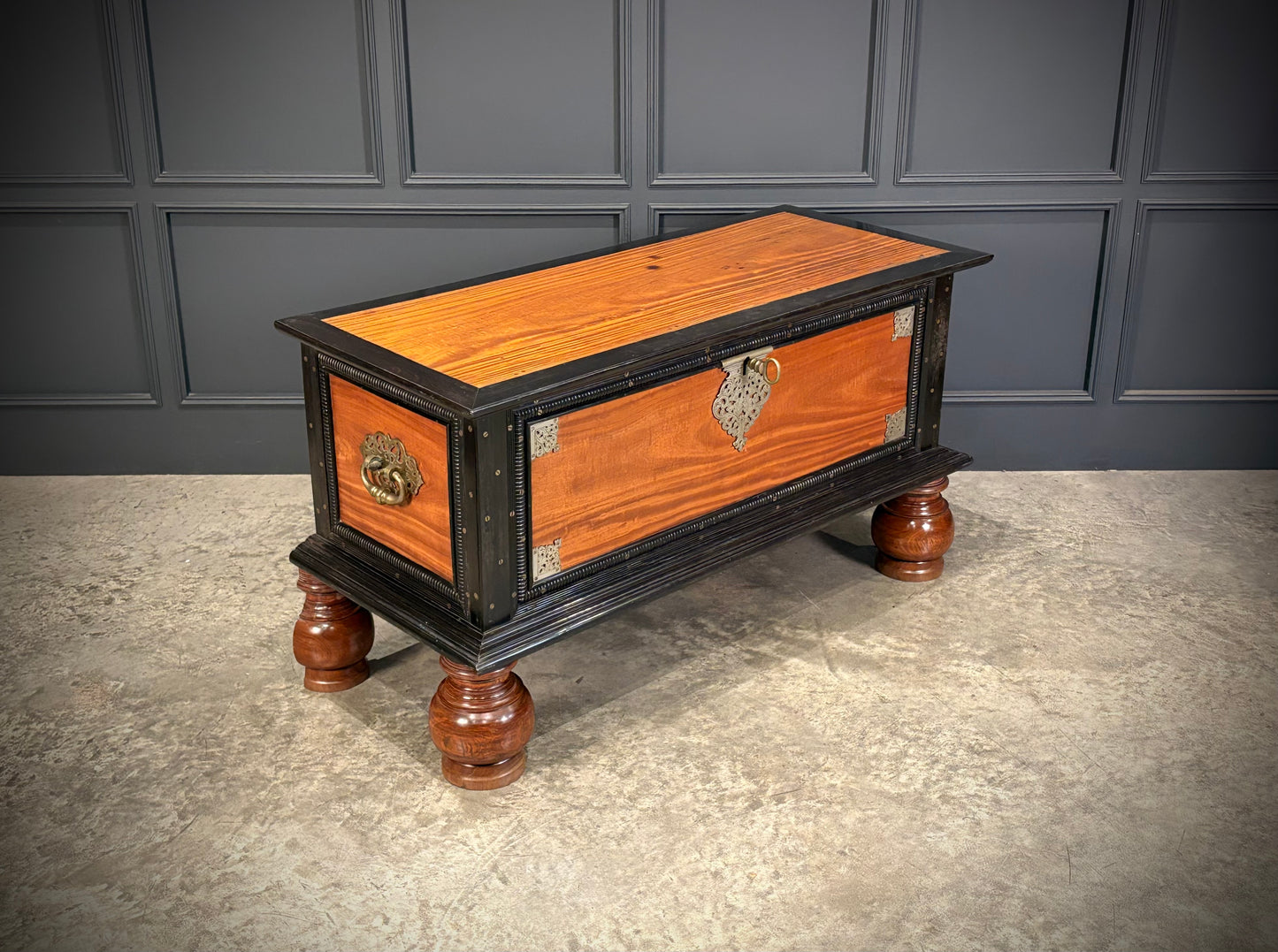 Large Ceylonese Camphor wood & Ebony Trunk