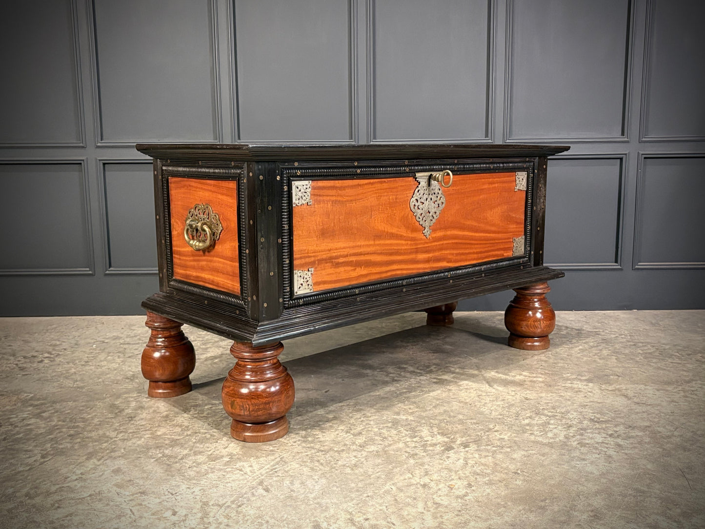 Large Ceylonese Camphor wood & Ebony Trunk