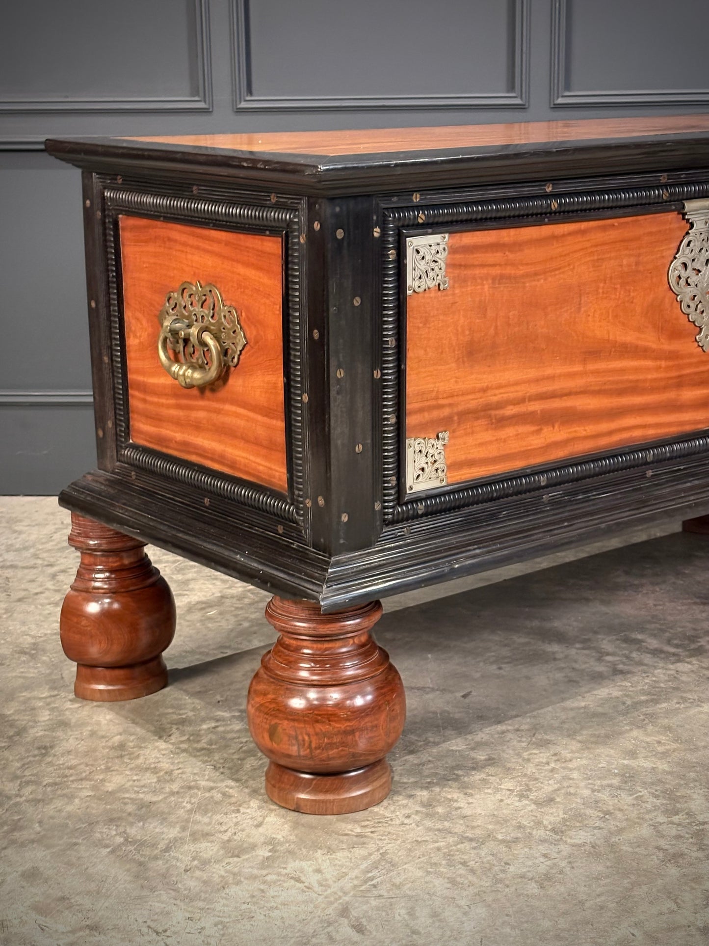 Large Ceylonese Camphor wood & Ebony Trunk