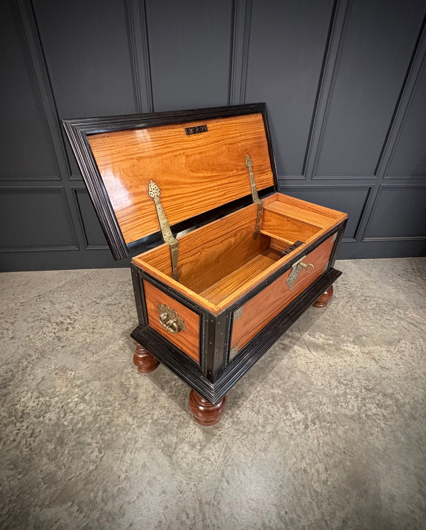 Large Ceylonese Camphor wood & Ebony Trunk