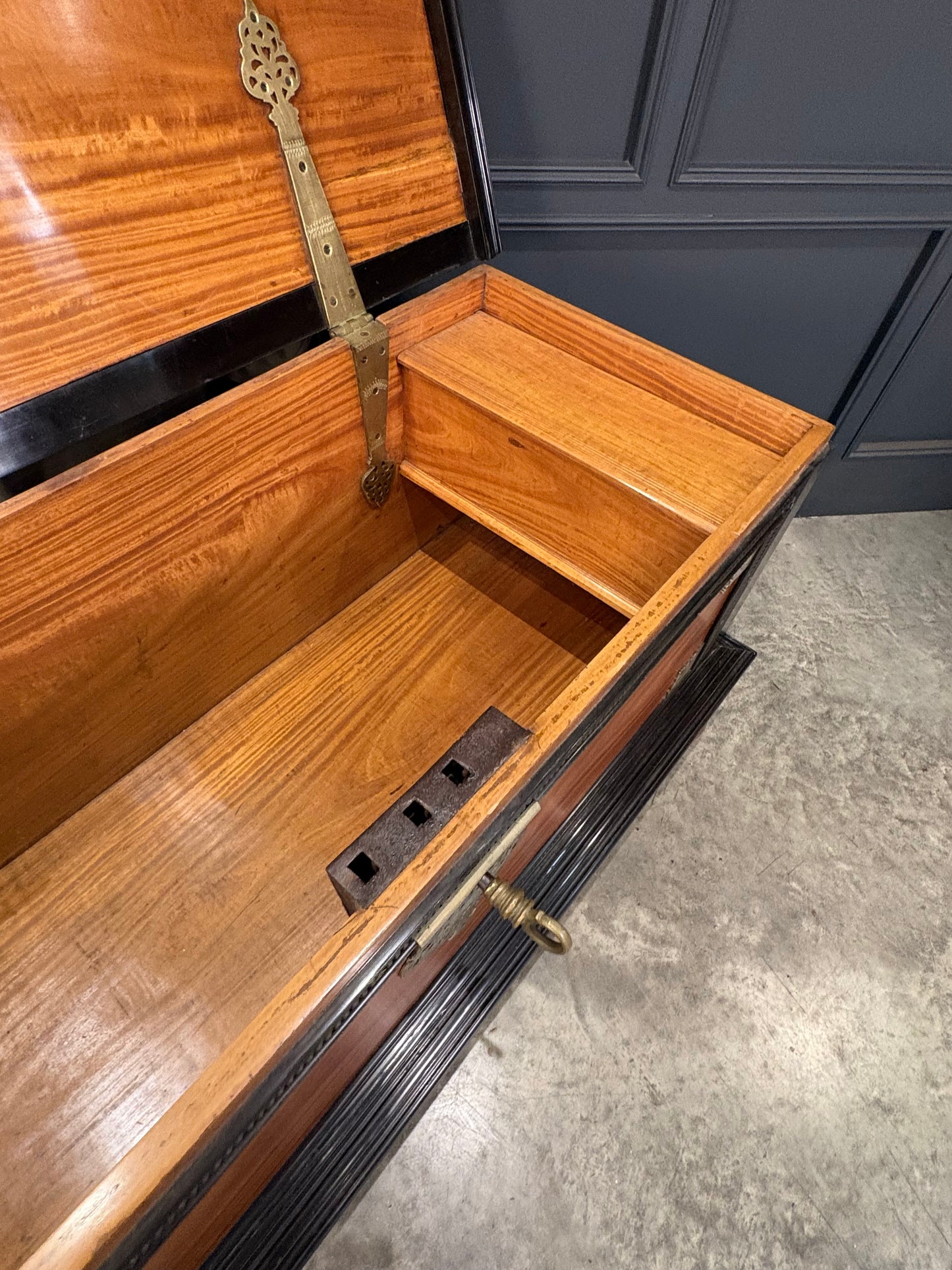 Large Ceylonese Camphor wood & Ebony Trunk