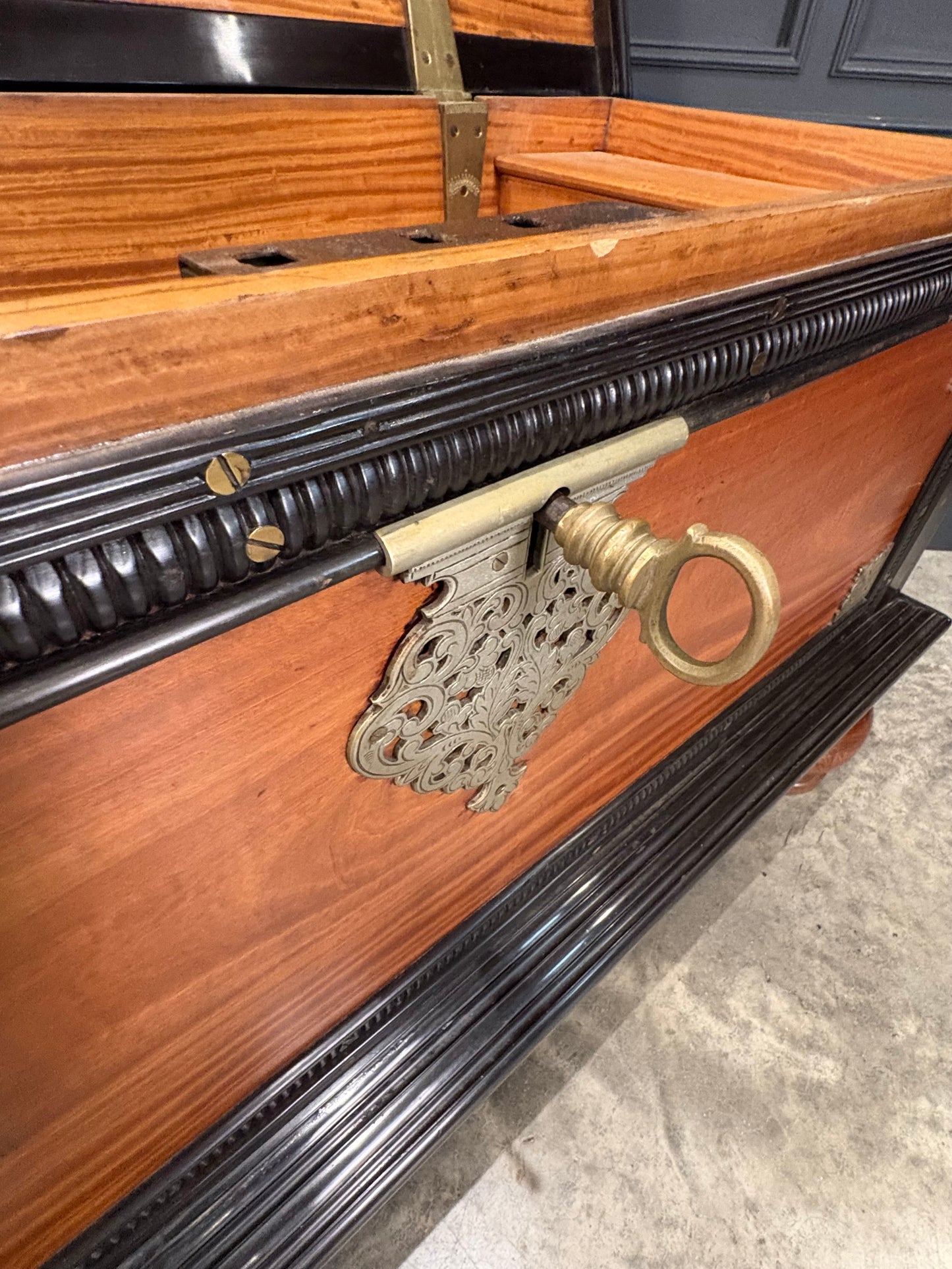 Large Ceylonese Camphor wood & Ebony Trunk