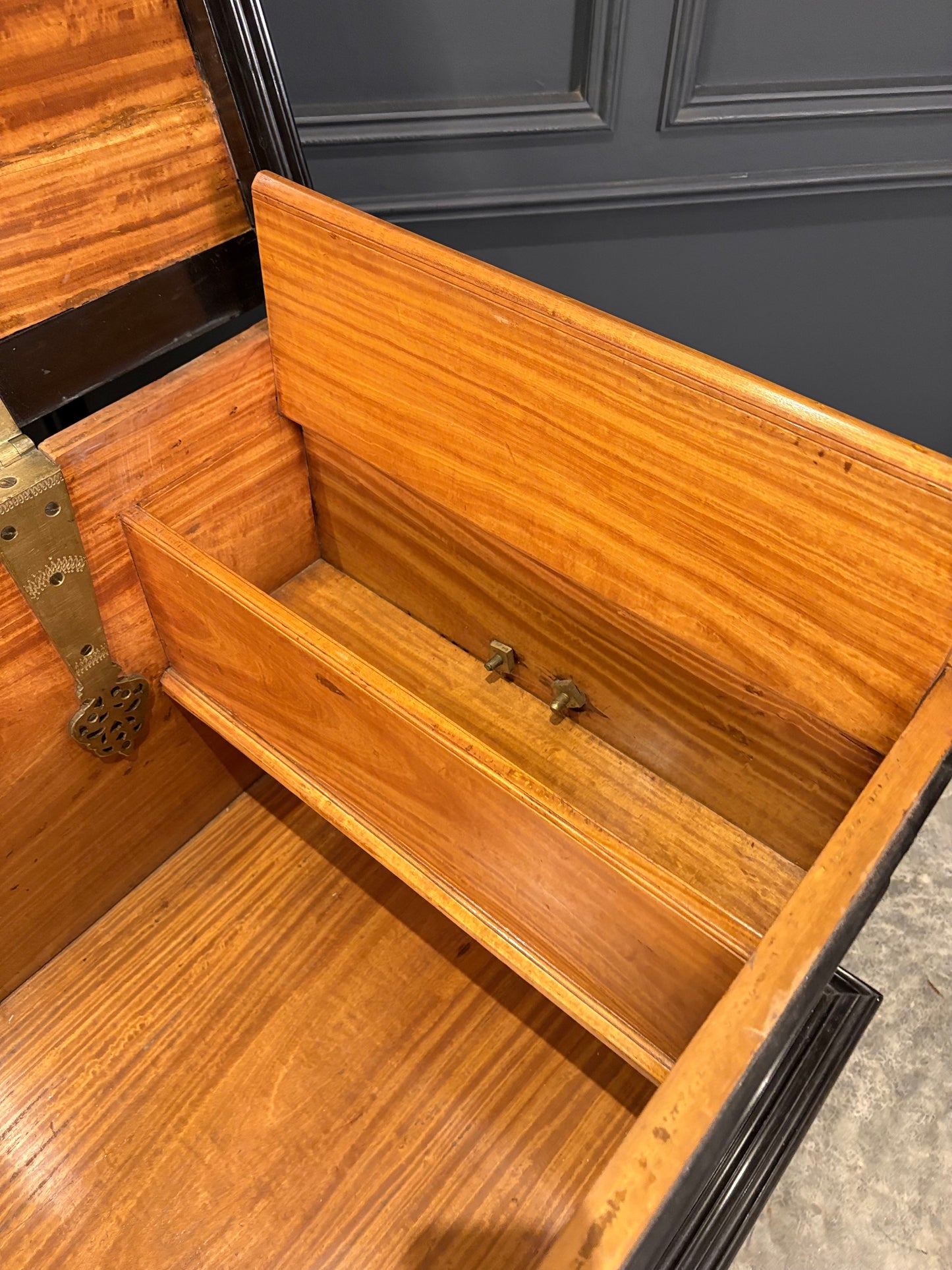 Large Ceylonese Camphor wood & Ebony Trunk