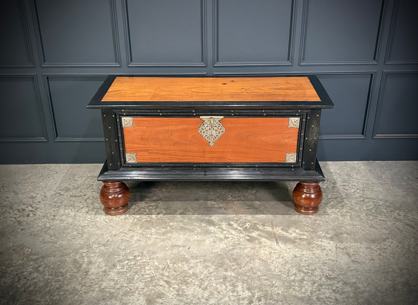 Large Ceylonese Camphor wood & Ebony Trunk