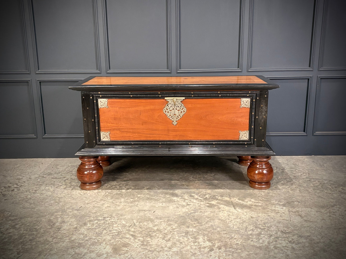 Large Ceylonese Camphor wood & Ebony Trunk