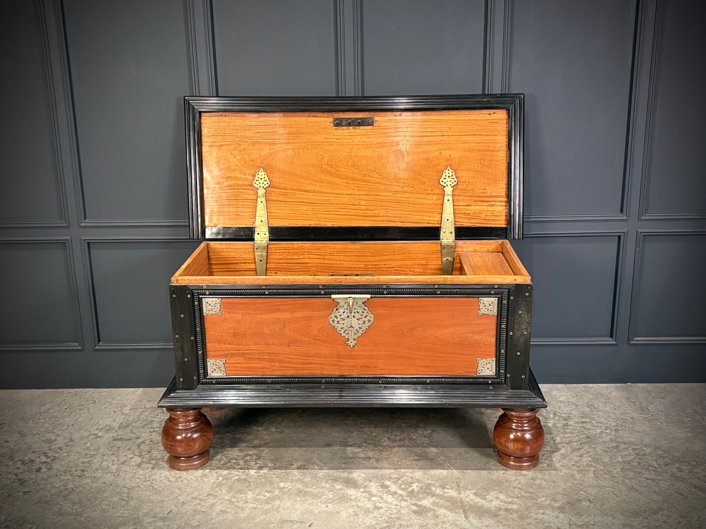 Large Ceylonese Camphor wood & Ebony Trunk