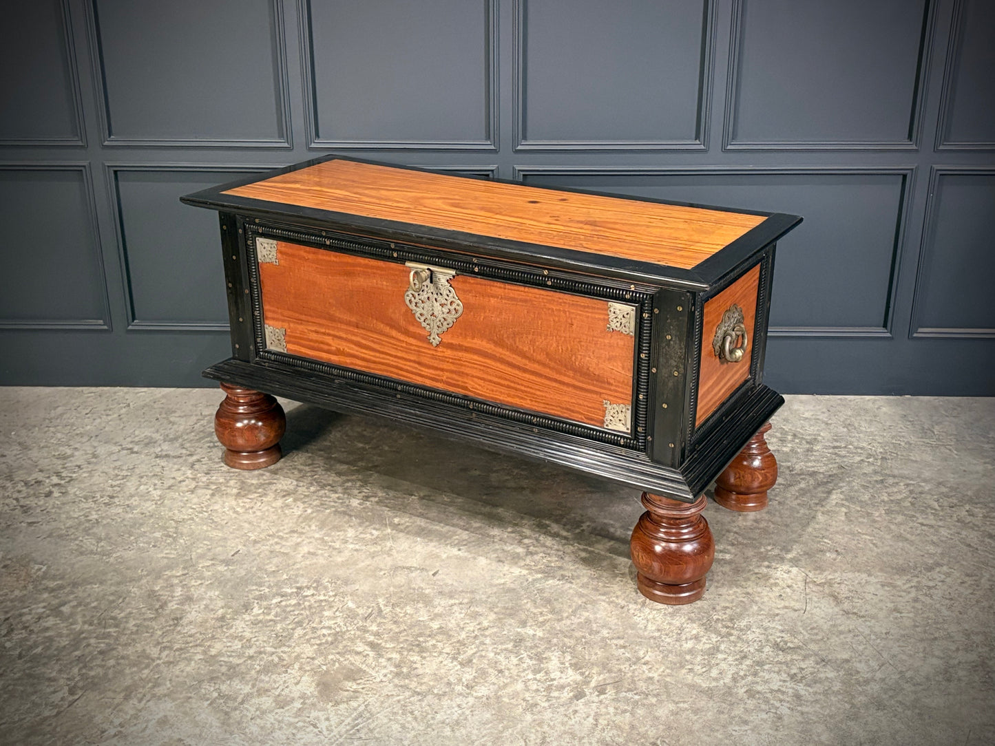 Large Ceylonese Camphor wood & Ebony Trunk