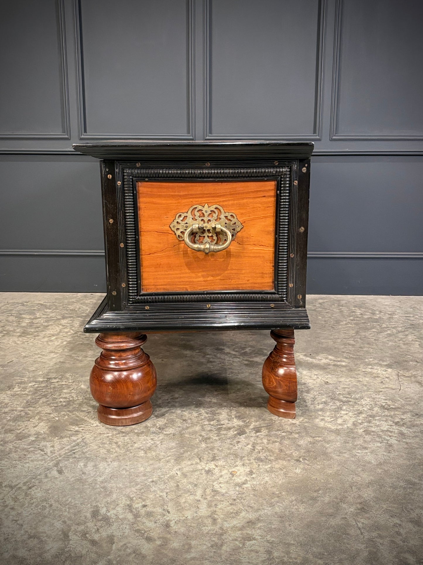 Large Ceylonese Camphor wood & Ebony Trunk
