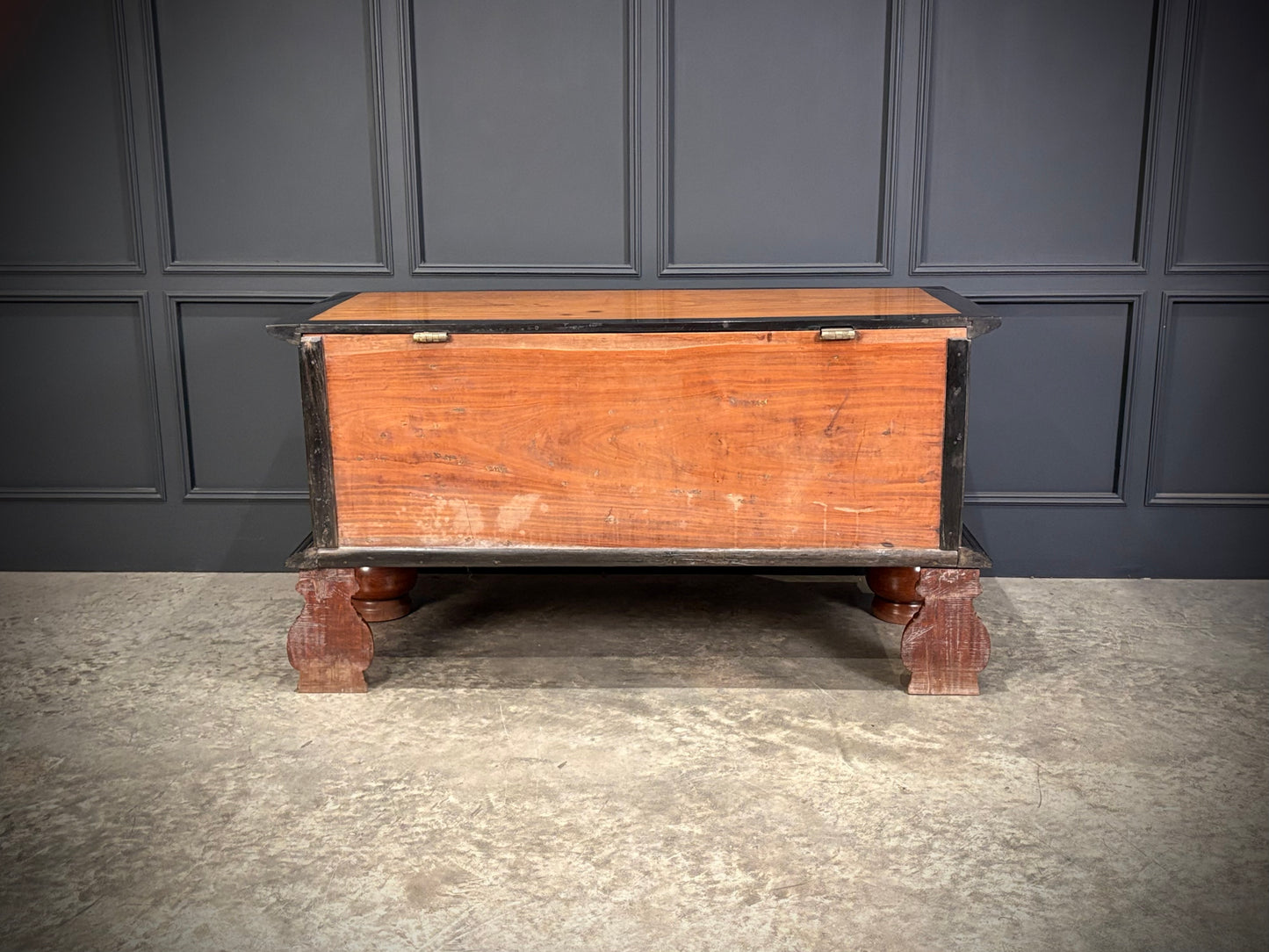 Large Ceylonese Camphor wood & Ebony Trunk