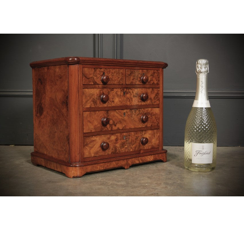 Miniature Burr Walnut Apprentice Chest of Drawers