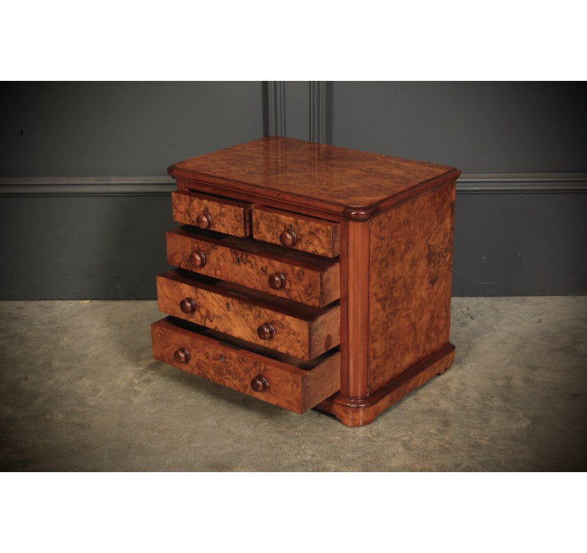 Miniature Burr Walnut Apprentice Chest of Drawers