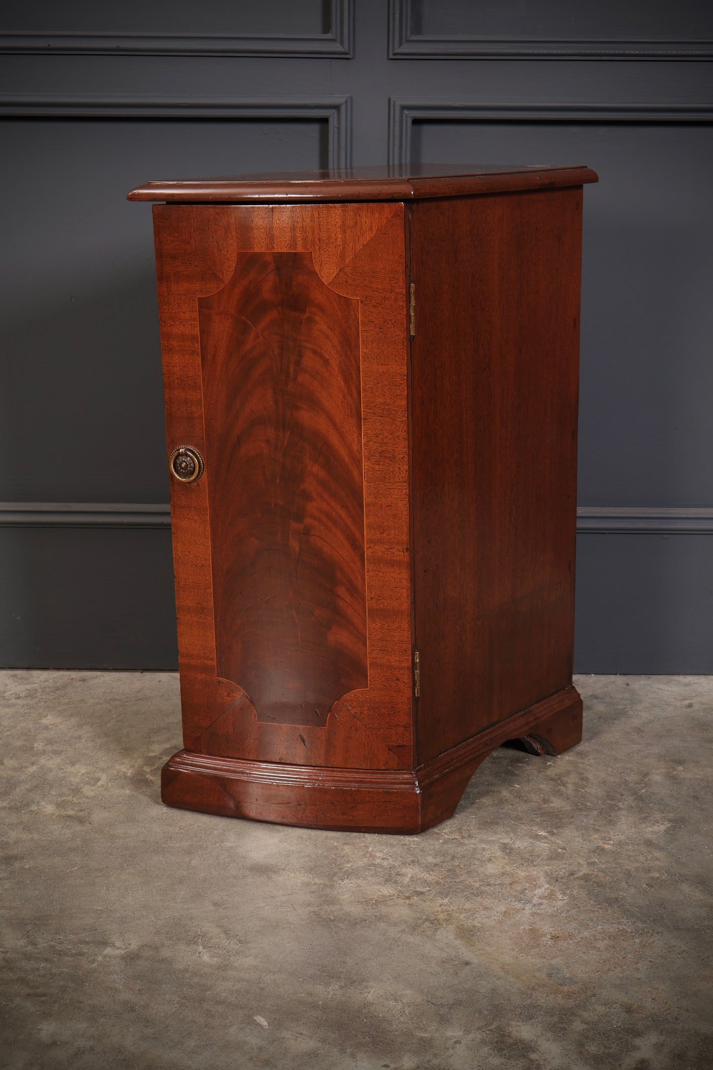 Pair Of Regency Mahogany Pedestal Cabinets