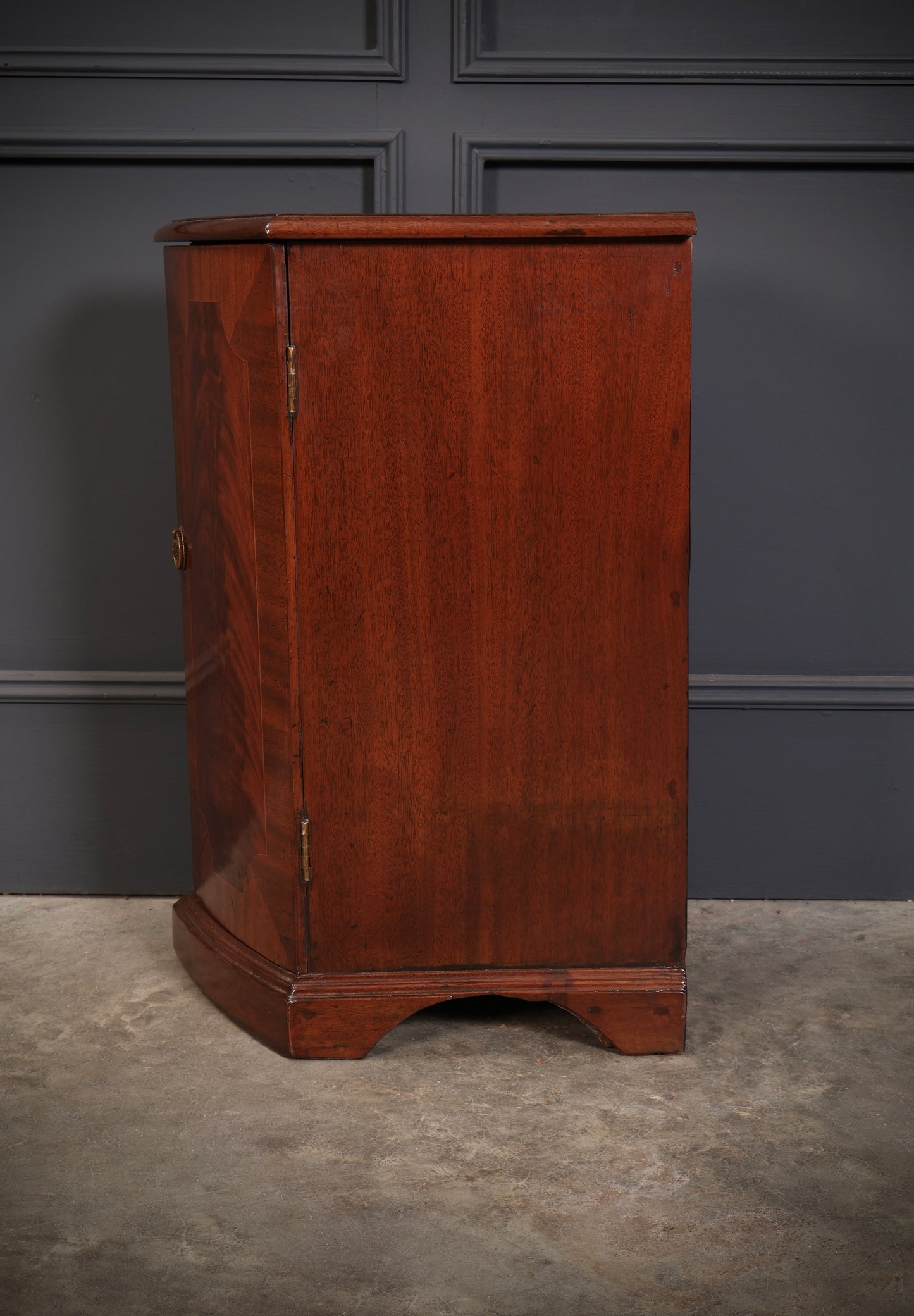 Pair Of Regency Mahogany Pedestal Cabinets